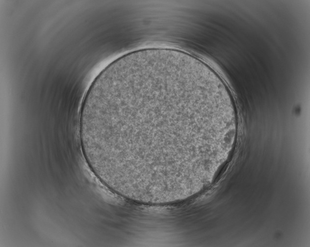 X0000114651004200912011108