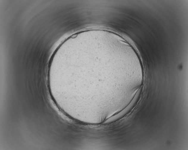 X0000114651005200912011108