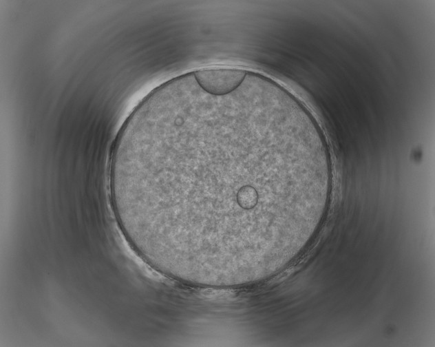 X0000114651006200912011108