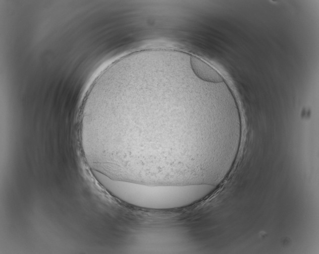 X0000114651008200912011108