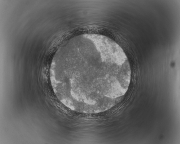 X0000114651010200912011107