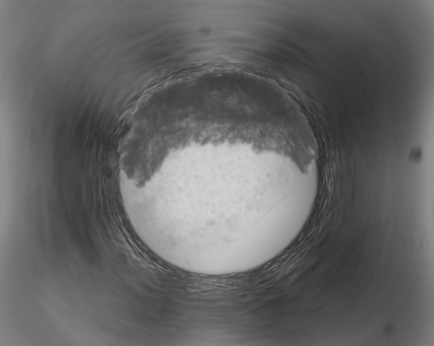 X0000114651012200912011107