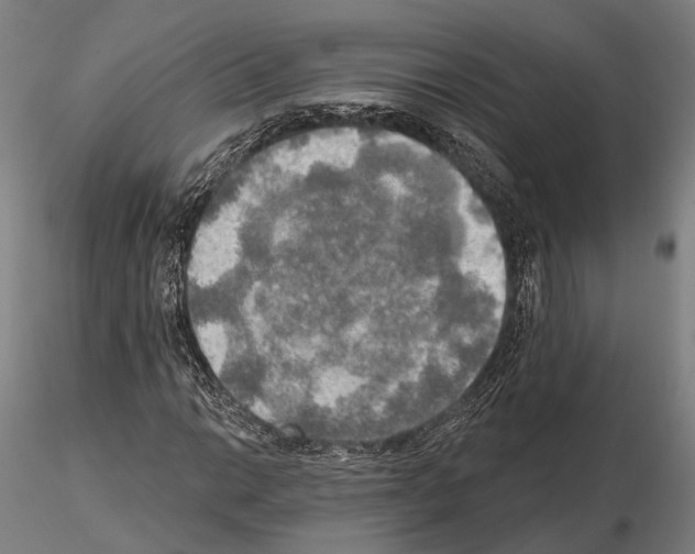 X0000114651014200912011107