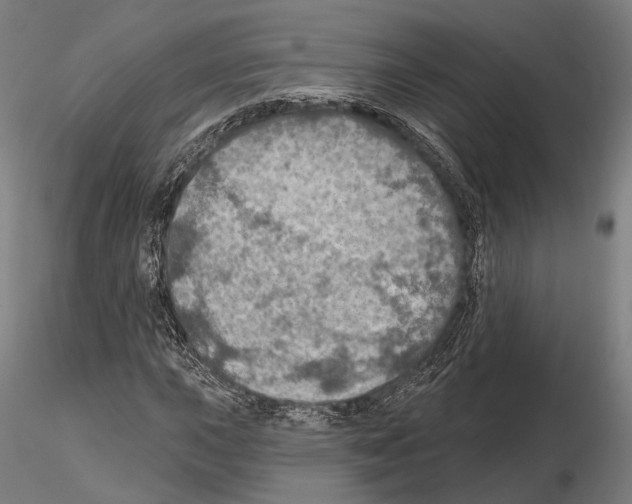 X0000114651015200912011107