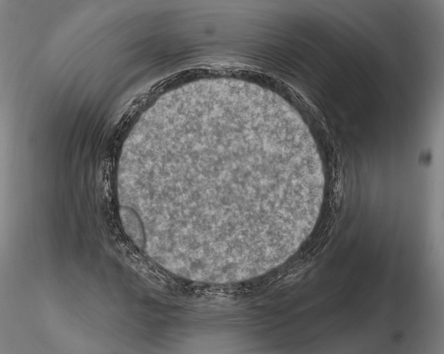 X0000114651016200912011107