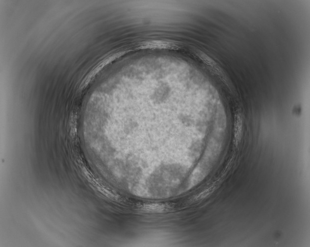 X0000114651017200912011107