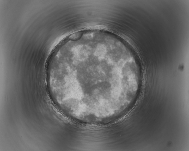 X0000114651022200912011107