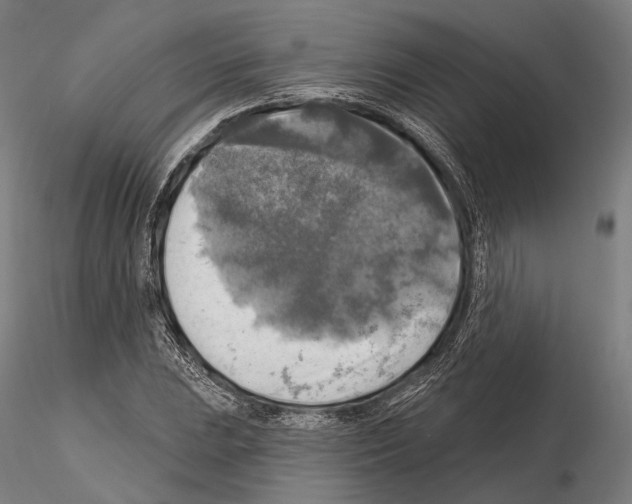 X0000114651023200912011107