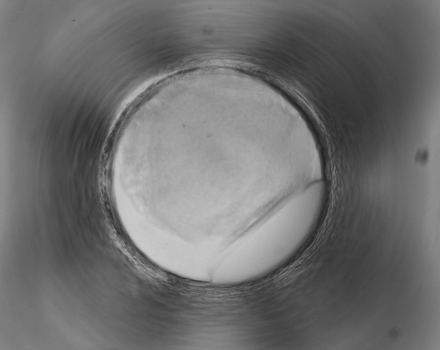 X0000114651024200912011107