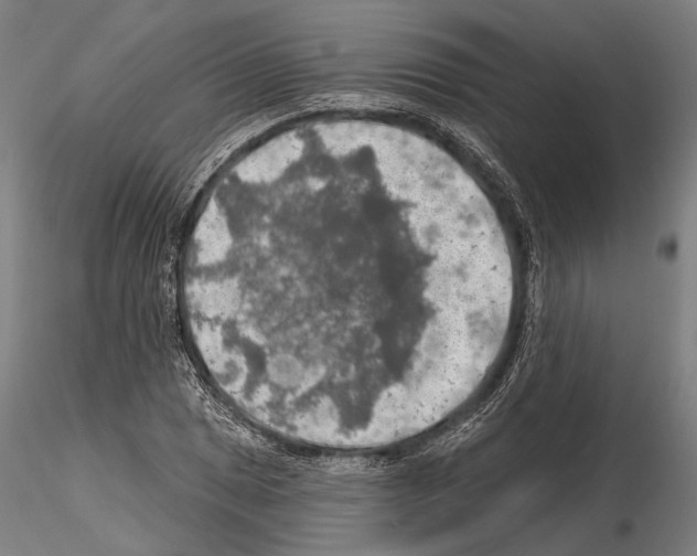 X0000114651025200912011107