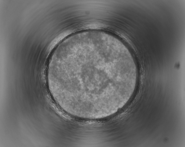 X0000114651026200912011107