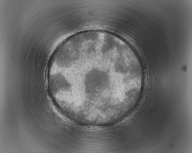 X0000114651030200912011107