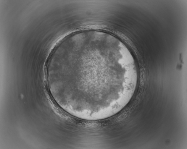 X0000114651031200912011107