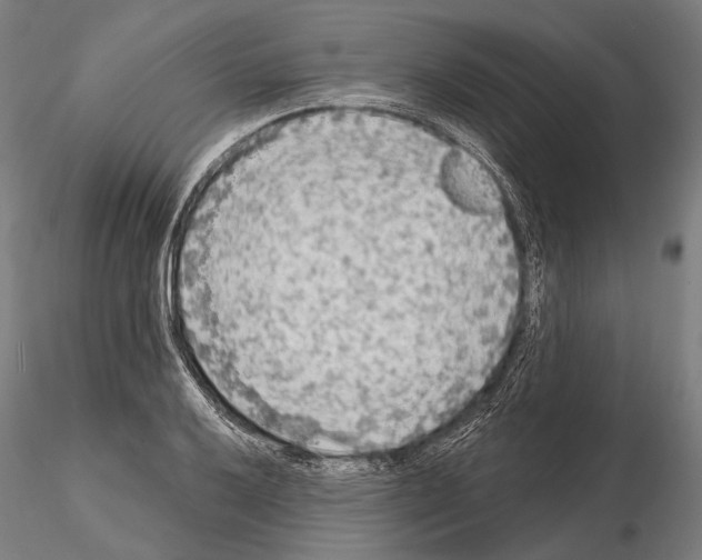 X0000114651032200912011107