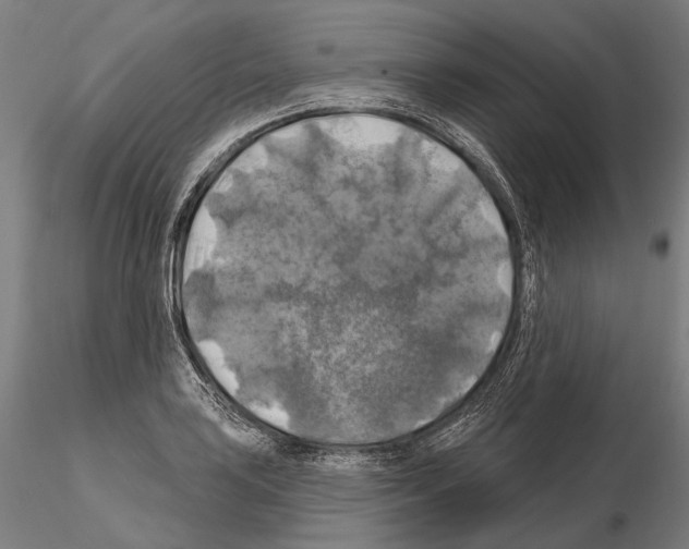 X0000114651035200912011107