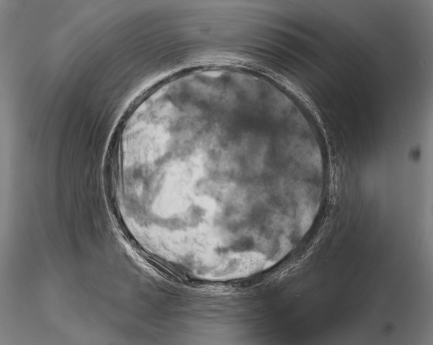 X0000114651037200912011108