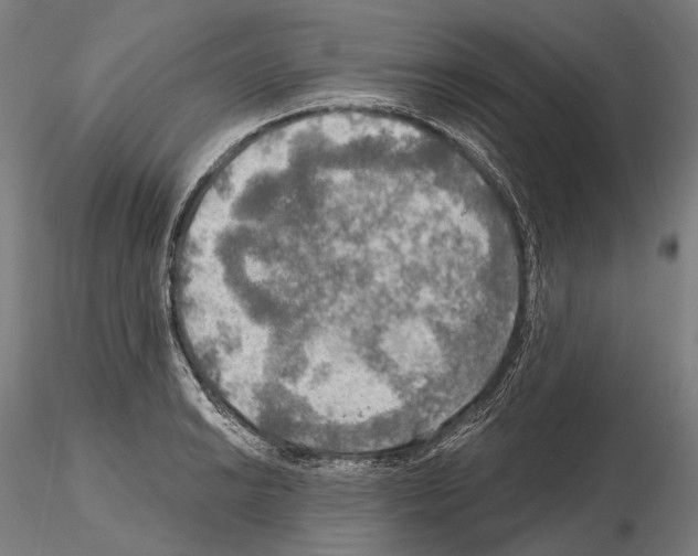 X0000114651038200912011108