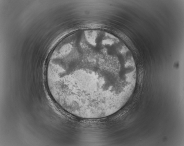 X0000114651039200912011108