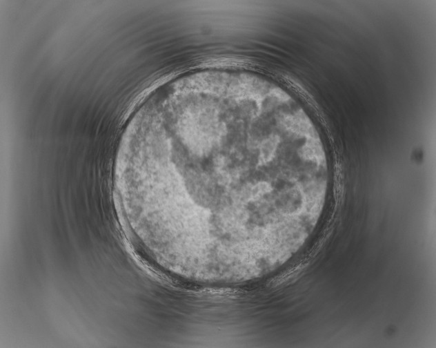 X0000114651041200912011108