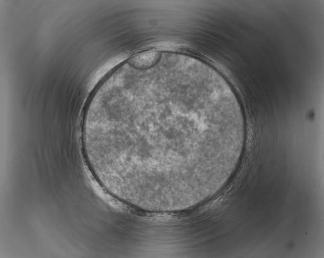 X0000114651042200912011108