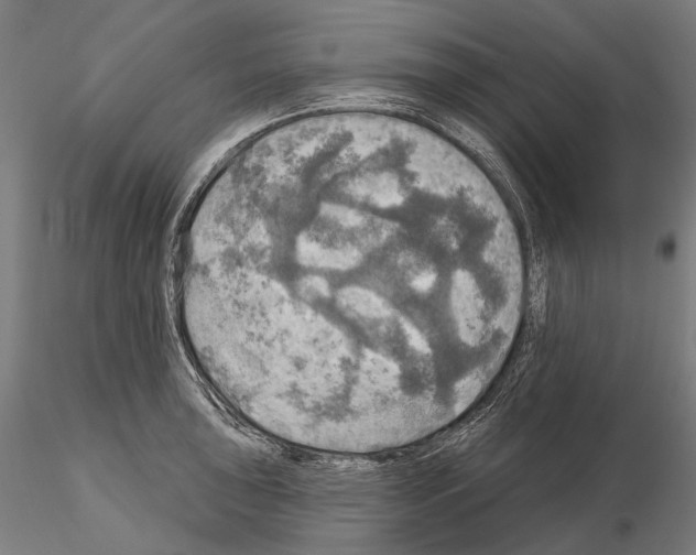 X0000114651043200912011108