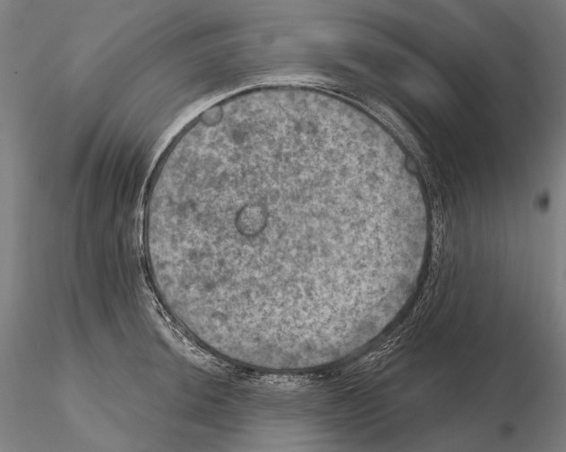 X0000114651044200912011108