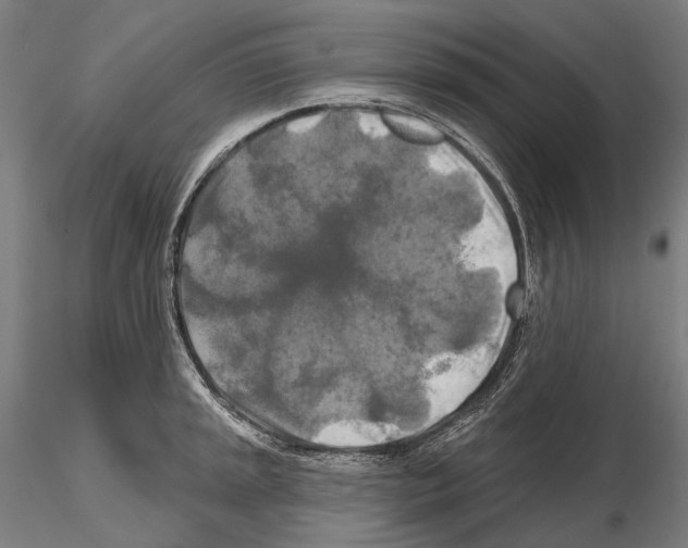 X0000114651045200912011108