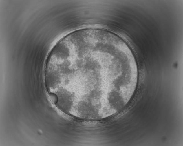 X0000114651046200912011108