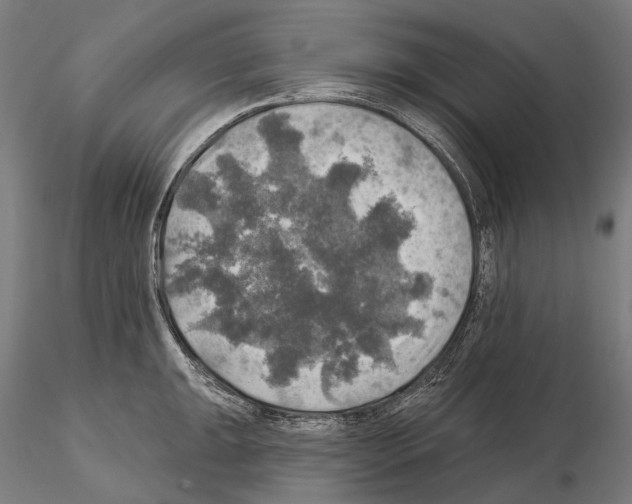 X0000114651047200912011108