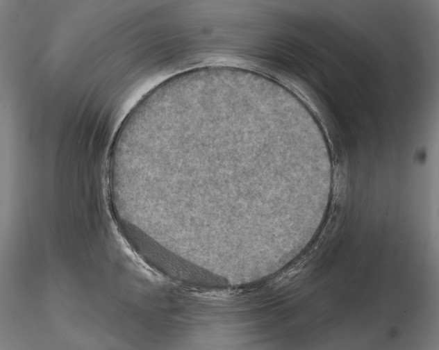 X0000114651048200912011108