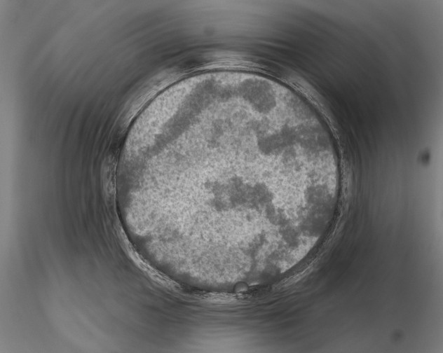 X0000114651049200912011108