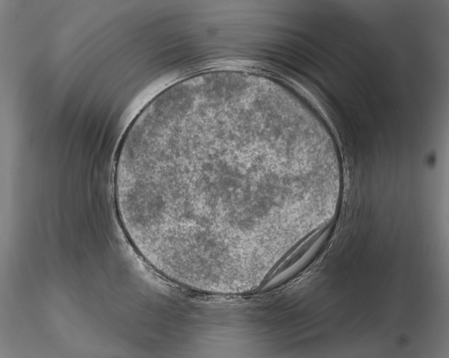 X0000114651050200912011108