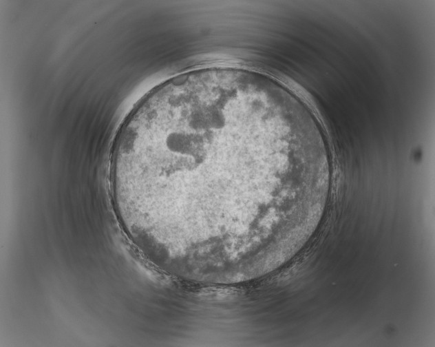 X0000114651051200912011108