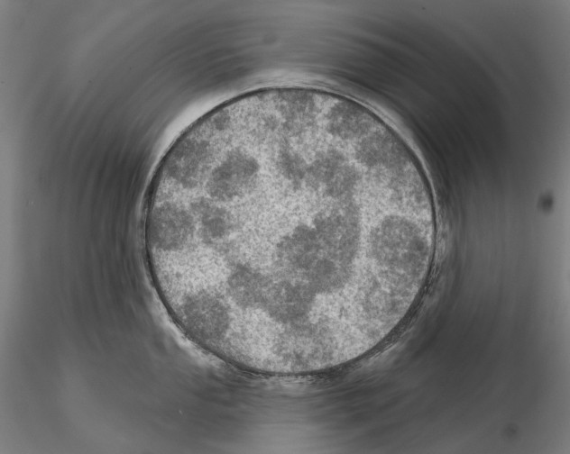 X0000114651053200912011108