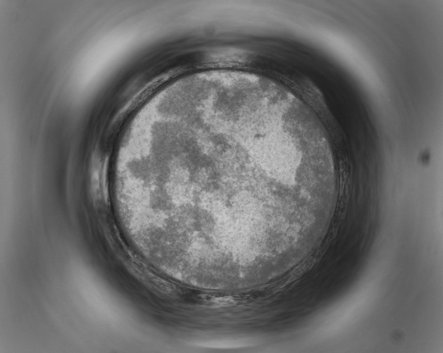 X0000114651054200912011108