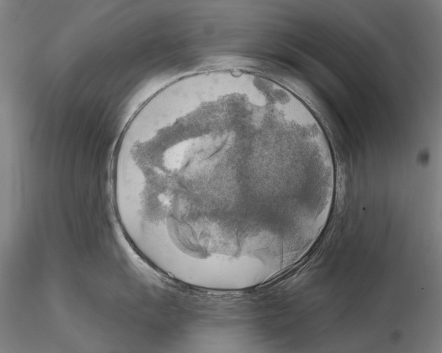 X0000114651055200912011108