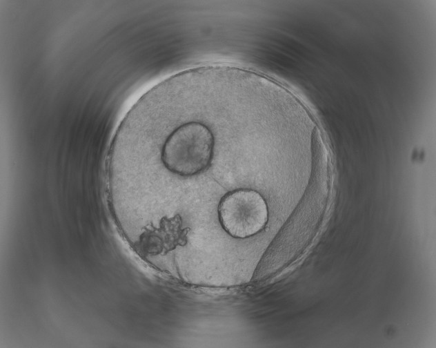 X0000114651056200912011108