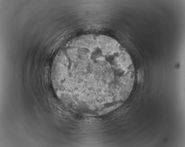 X0000114651059200912011107