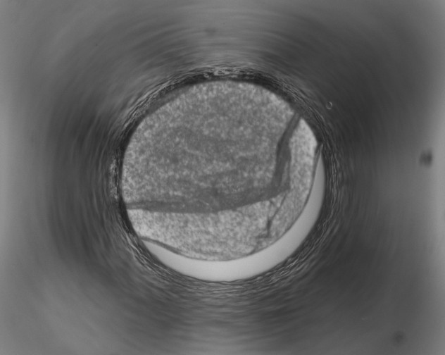 X0000114651060200912011107