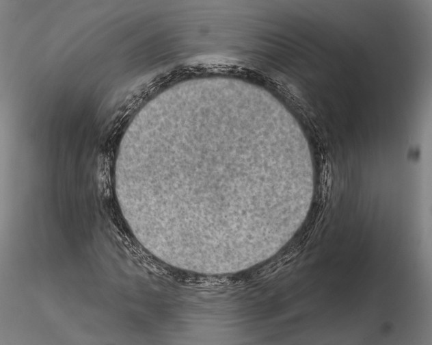 X0000114651062200912011107