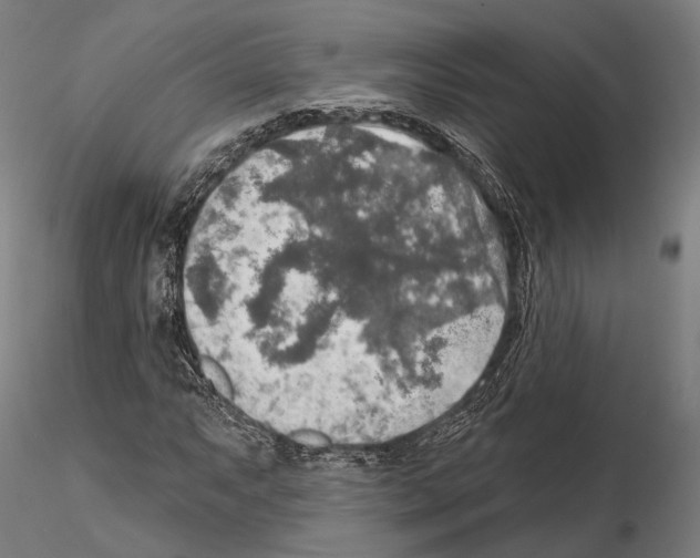 X0000114651063200912011107