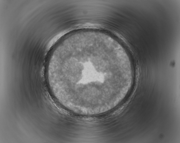 X0000114651066200912011107