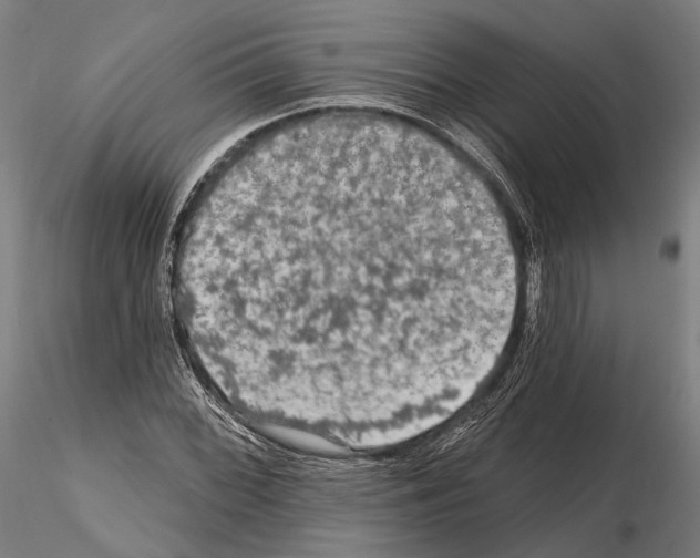 X0000114651068200912011107