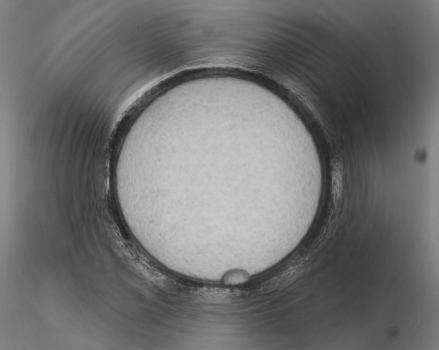 X0000114651069200912011107