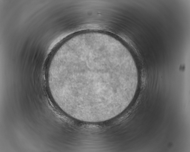 X0000114651070200912011107