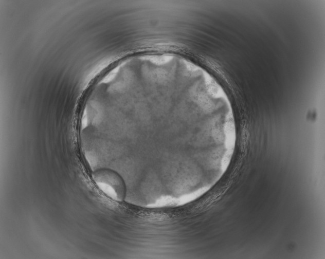 X0000114651071200912011107