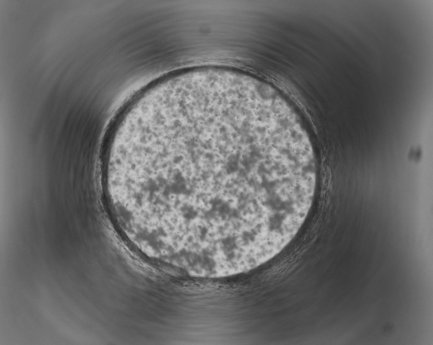 X0000114651072200912011107