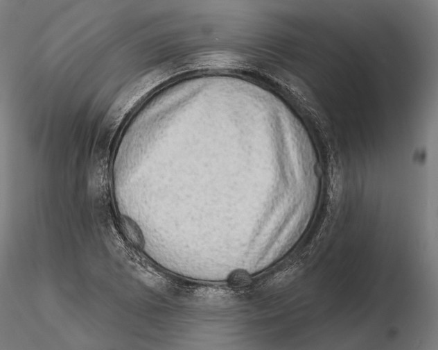 X0000114651073200912011107