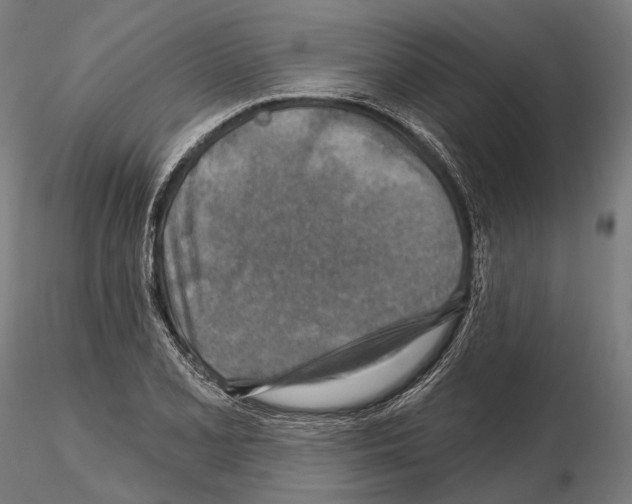 X0000114651077200912011107