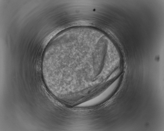 X0000114651081200912011107